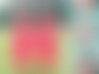 Another day of flamingling! 🦩 🦩 🦩 🦩 🦩 🦩 🦩