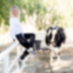 Smiling woman in a white shirt sits on a farm fence next to a black-and-white cow. Sunlit trees in background. Calm, idyllic scene.