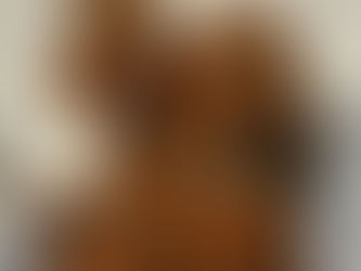 What's happening at Farmstead 51 when we don't have puppies?