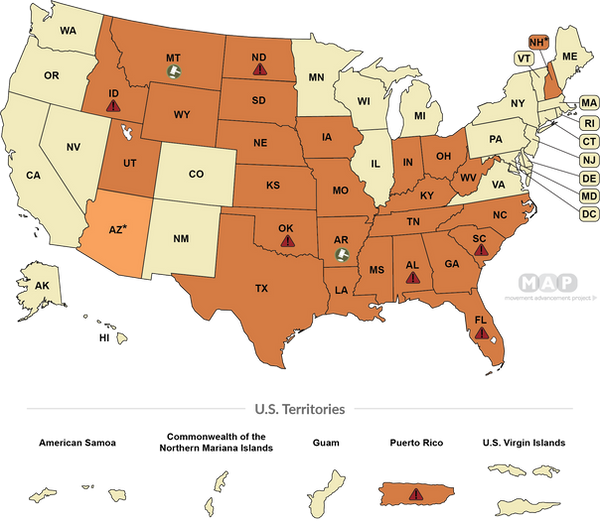 map-healthcare-youth-medical-care-bans.png