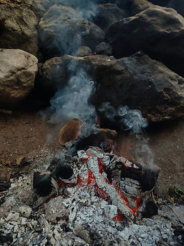pexels-gizem-gokce-1072613075-27329755.jpg