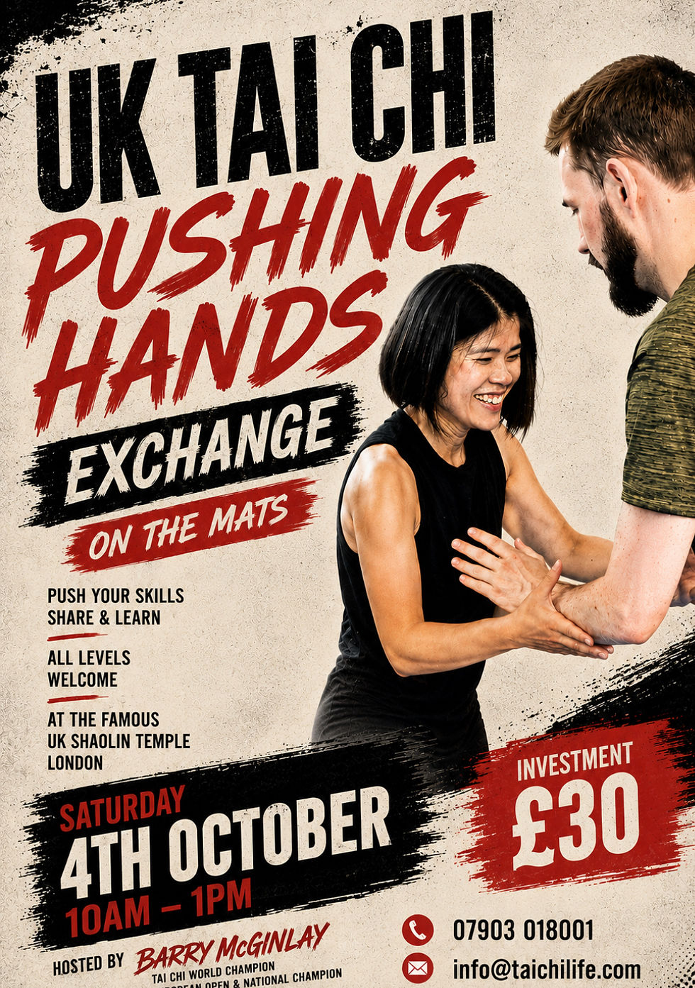 Uk Tai Chi Pushing hands Exchange