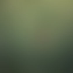 Understanding Trauma Responses: Beyond Fight, Flight, and Freeze