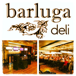 Very Important Parties Mobile Disco Entertainment Hire Newcastle North East