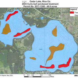 Map of 2023 Curly-leaf pondweed treatment in Cedar Lake.