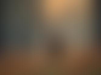 Experience Unforgettable Whitetail Deer Hunting in Southern Minnesota with Whimsical Whitetails