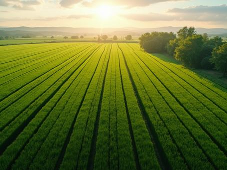 Soaring High: How Drone Spraying by Aerocrop Ag Solutions Transforms Farming in Southeast Iowa