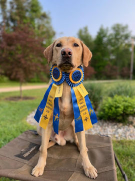 Lab with awards