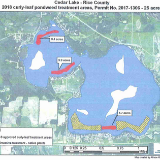 Map of 2018 curly-leaf pondweed treatment areas in Cedar Lake.