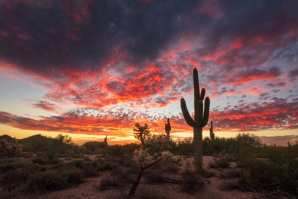 arizona desert.jpg