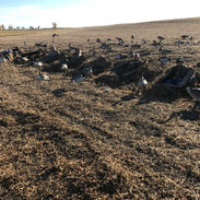 Photo Oct 16, 5 06 56 PM.jpg