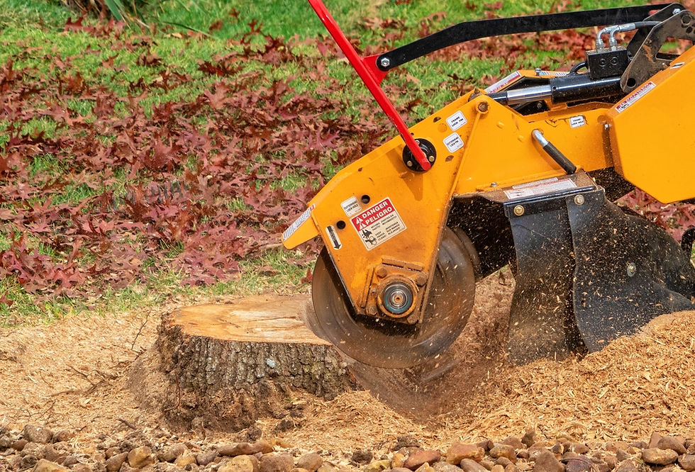 Stump Grinding.jpg