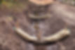 Erosion Control.jpg