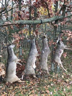 Deer hunting at Buck Haven Outfitters group