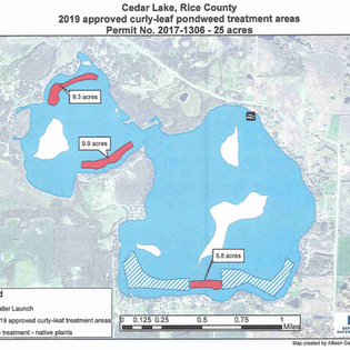 Map of 2018 curly-leaf pondweed treatment areas in Cedar Lake.
