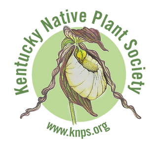 1_KNPS_Logo_Hi_Res_transparent_bkgd (1).png