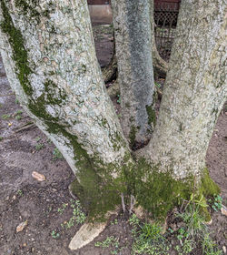 PXL_20250411_192604248~2