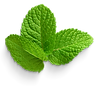 mints thai herbs