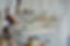 shutterstock_218687860_edited.jpg