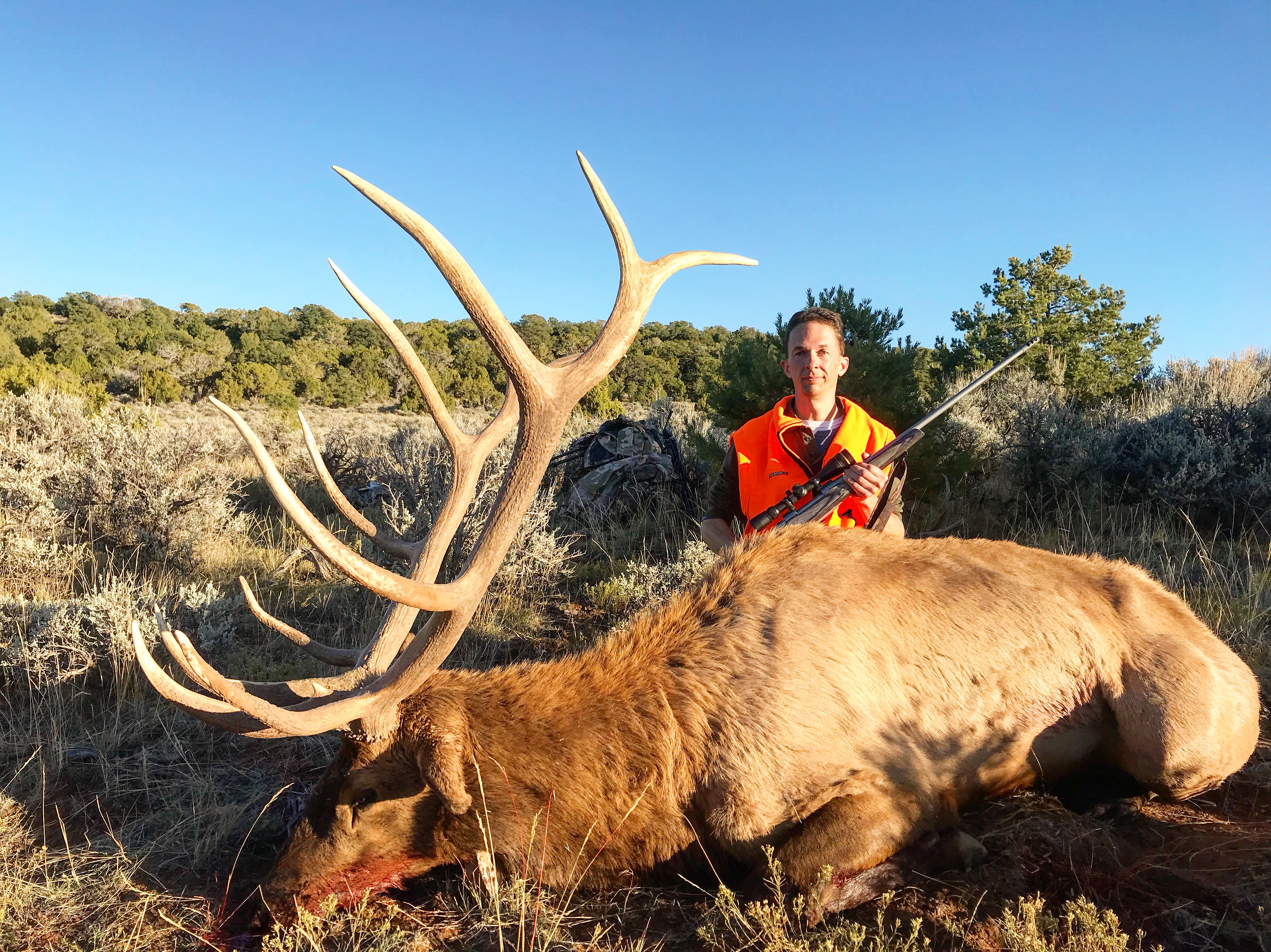 cow elk hunt wyoming cow elk hunt wyoming