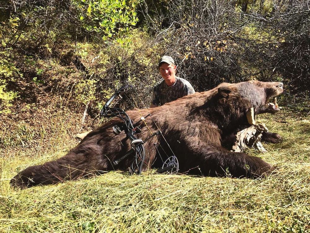 Colorado Black Bear Hunts Available colorado-black-bear-hunts-available