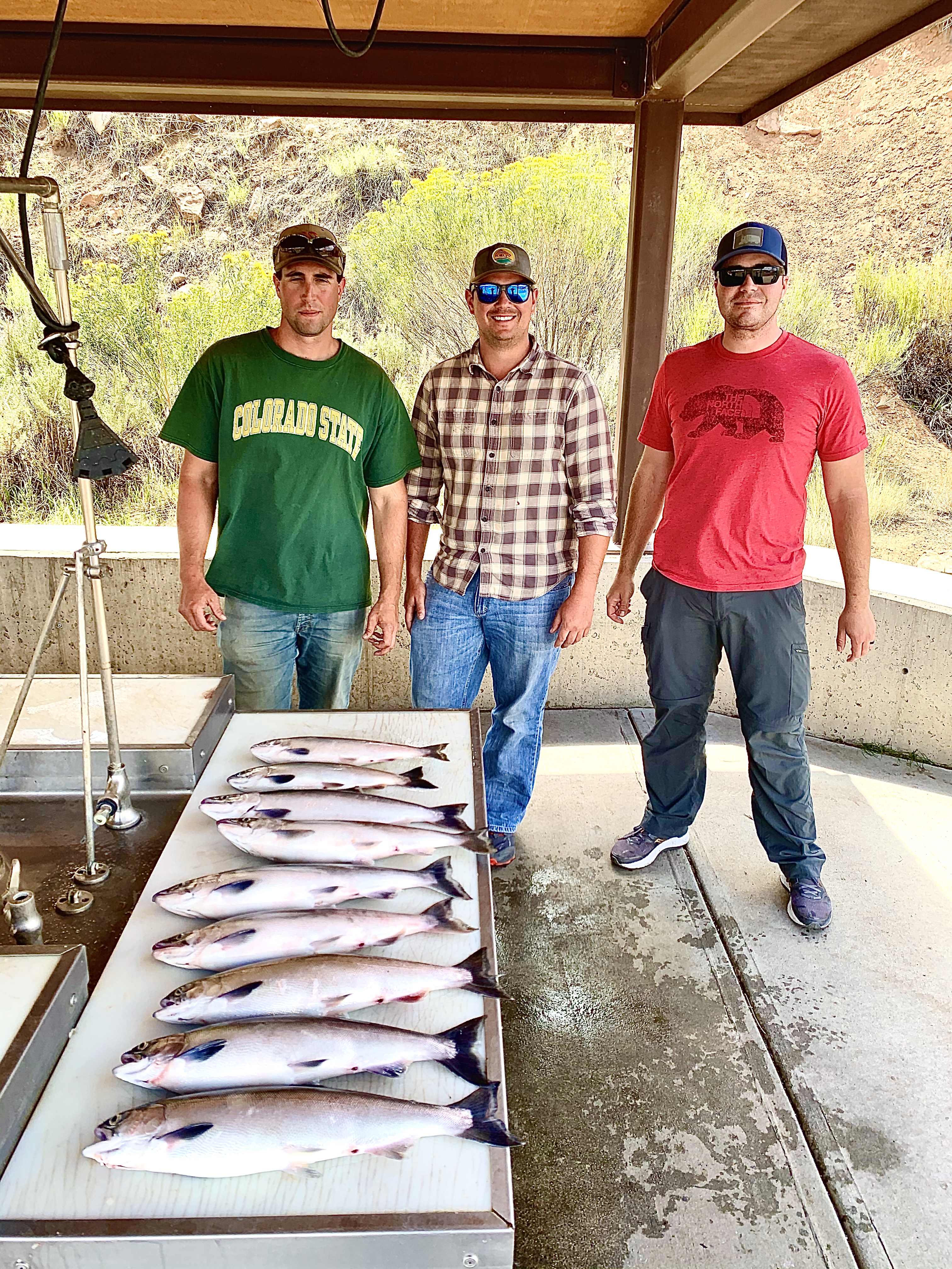 Kokanee salmon jigging