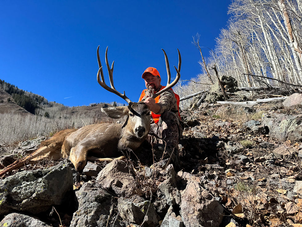 Myron's big mule deer