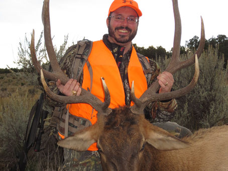 Guided Bull Elk Hunt in Colorado
