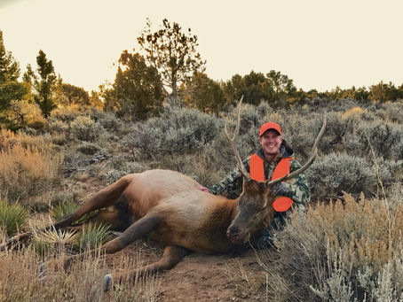 Colorado over the counter elk hunt with west elk outfitters