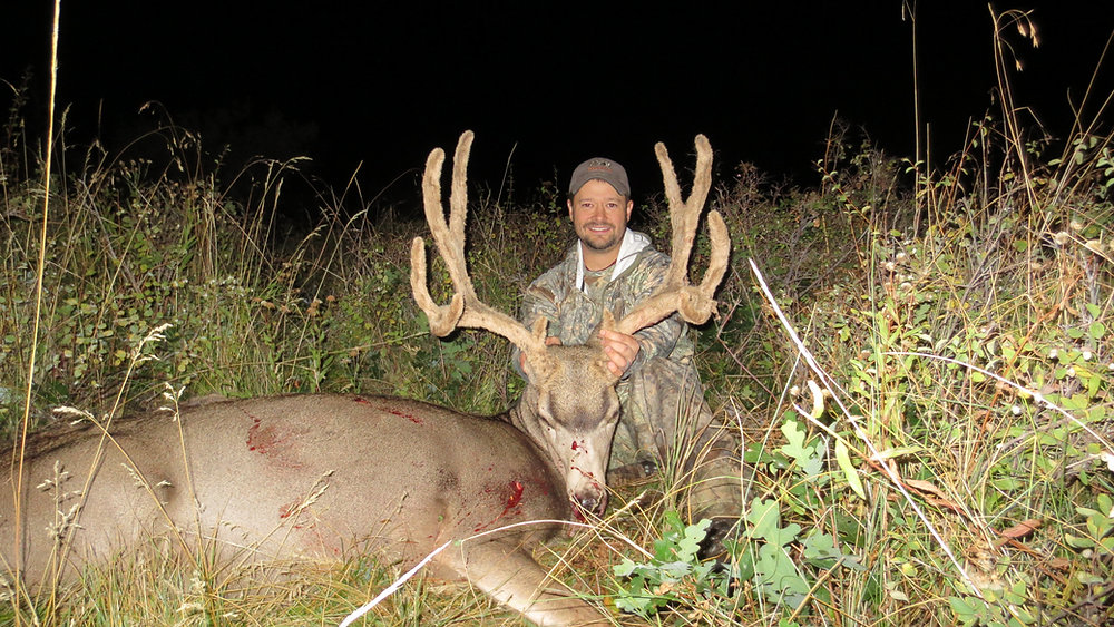 Colorado Archery Mule Deer Hunt Success