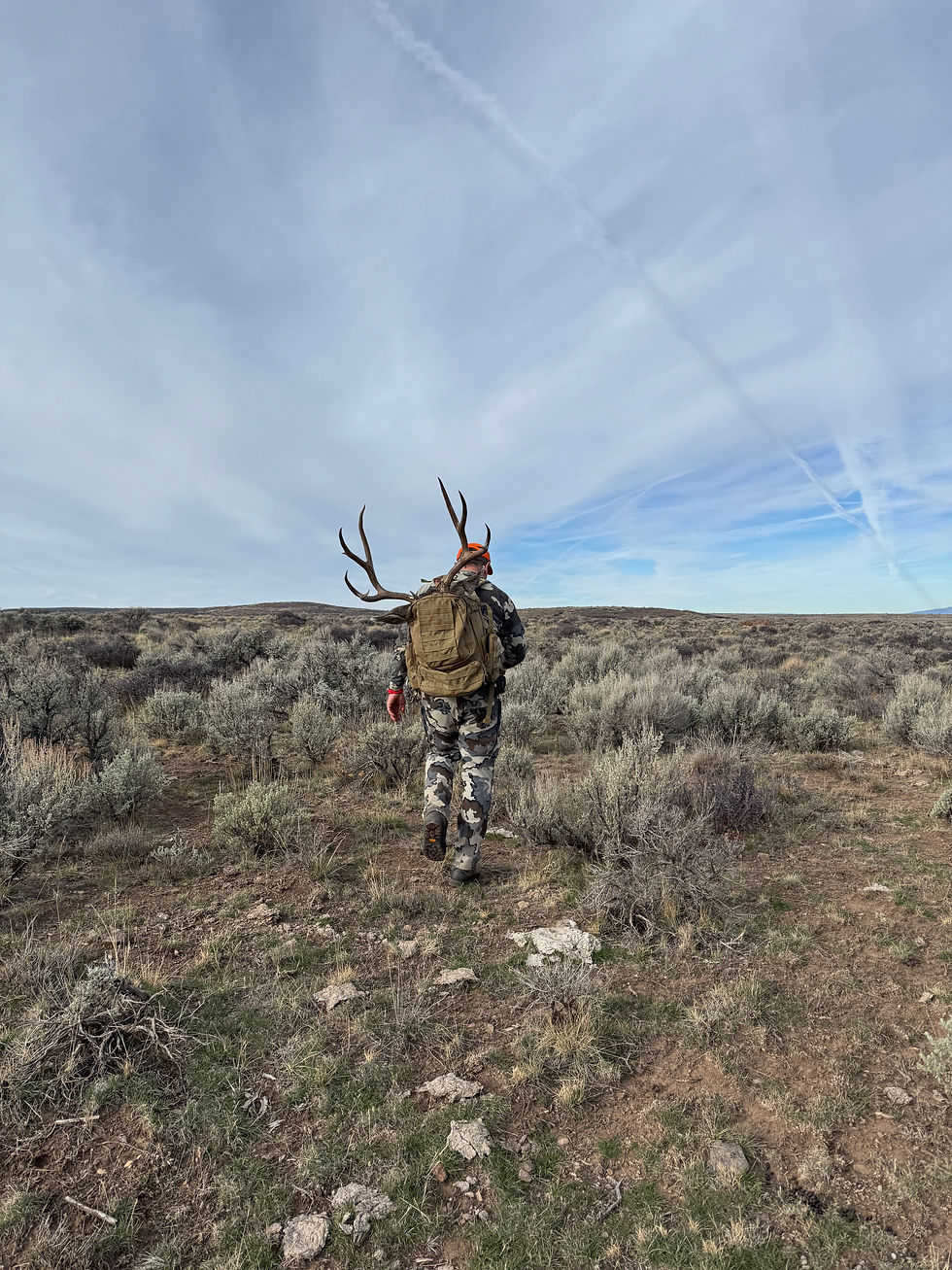 Skyline rack on the backpack