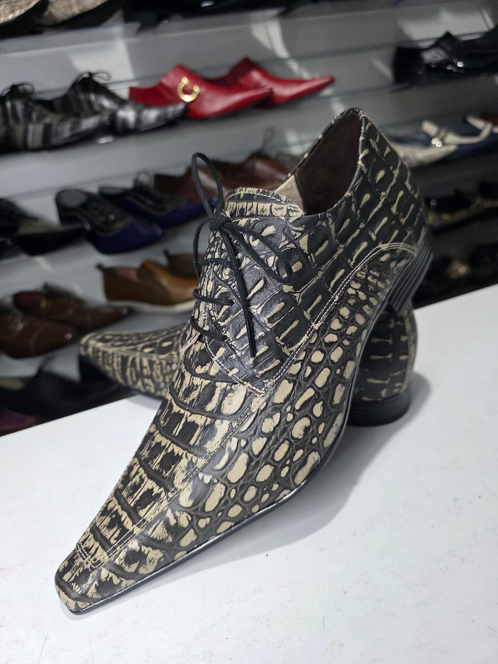 Miniatura: Maier CROCO & VERNIZ