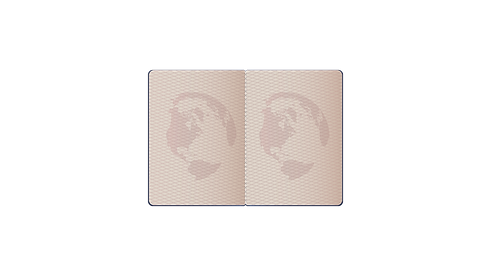 Untitled design (17)_edited.png