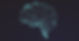 brain .jpg