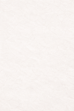 ChatGPT Image Jan 22, 2026, 06_50_27 AM.png