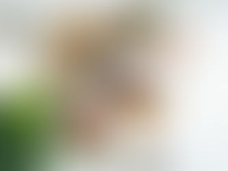 Carbohidratos y pérdida de peso: ¿realmente engordan? Explicación de una nutricionista en Bogotá