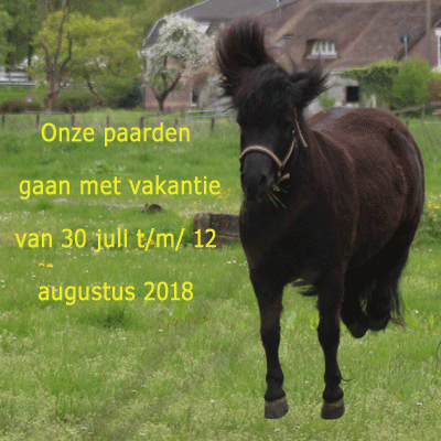 Vakantie voor de manegepaarden