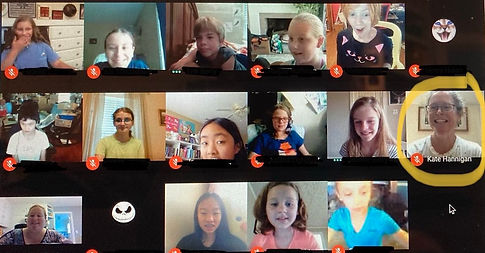 Laptop Zoom School Visit.jpeg