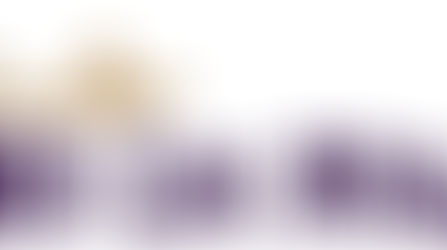 Camping no meio da Mata Atlântica, Paraty/RJ