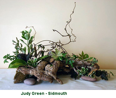 Judy Green - Sidmouth