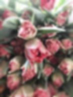 10EF5B51-5B0E-4129-87F2-55B0537B821E.jpeg