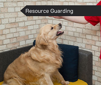 Behavioural Resource Guarding