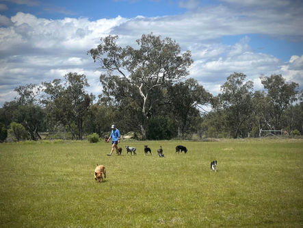 Natural Dogmanship