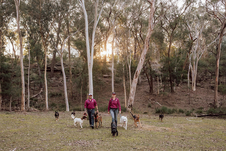 People with Dogs