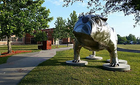 BullDog Bull5TSAM in stalen schop BullDog Bull5TSAM in stalen schop