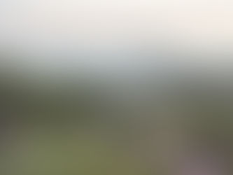 5 lý do Yoga Retreat là dành cho bạn