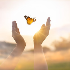 The girl frees the butterfly from moment Concept of freedom.jpg