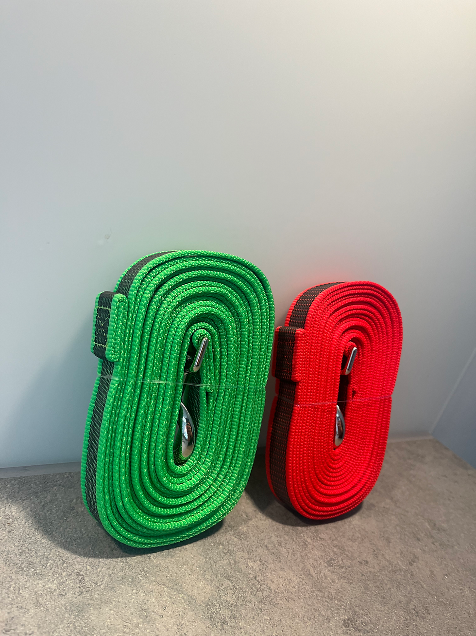 Thumbnail: Set of red and green Hans Verbruggen leash 5 m no handle