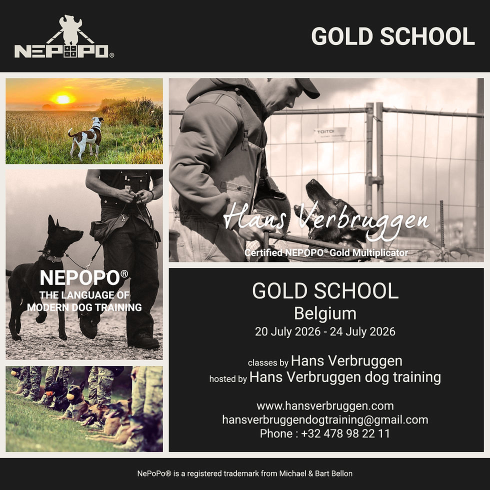 NePoPo® Gold school Belgium