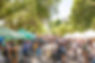 RFM Mothers Day 2025-007.jpeg